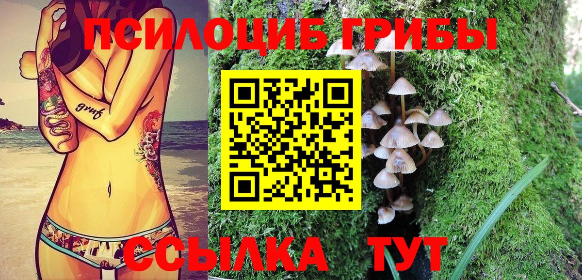 Алапаевск  хочу   Галлюциногенные грибы прущие грибы  Вход с VPN  Галлюциногенные грибы прущие грибы 