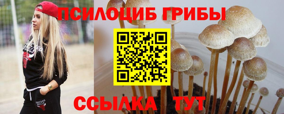 Галлюциногенные грибы Psilocybine cubensis Алапаевск